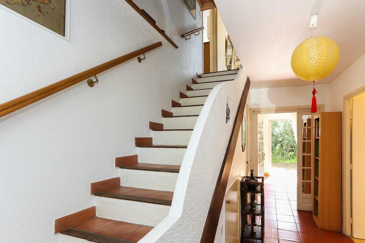 Suquette Charming Provencal House In Antibes With Nice Terrace, Garden And Pool Access Екстериор снимка